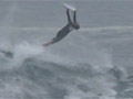 Arica Chilean Challenge 2009 - 29 July Freesurf