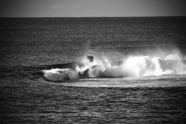 Jared Houston at Shark Island