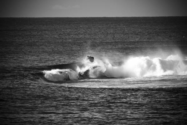 Jared Houston at Shark Island