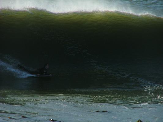 Stuart Lee, Trim at Off The Wall