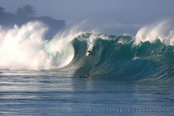 Wade Harrison at Waimea Shorebreak