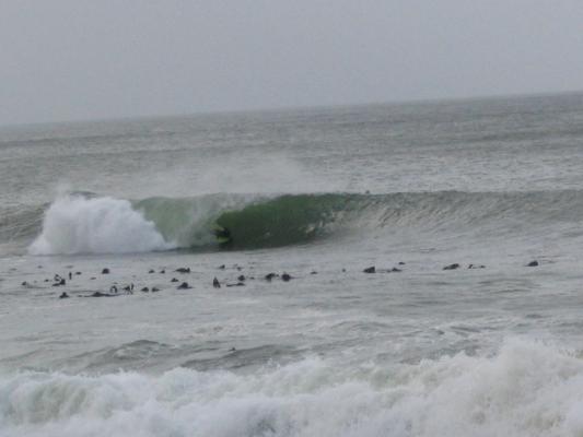 Matt Ornellas at Kalk Bay