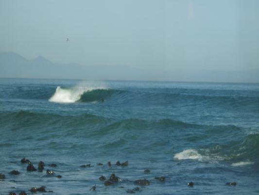 Kalk Bay