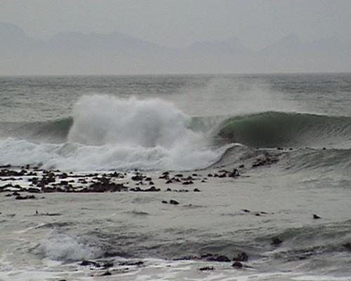 Ian Thurtell at Kalk Bay