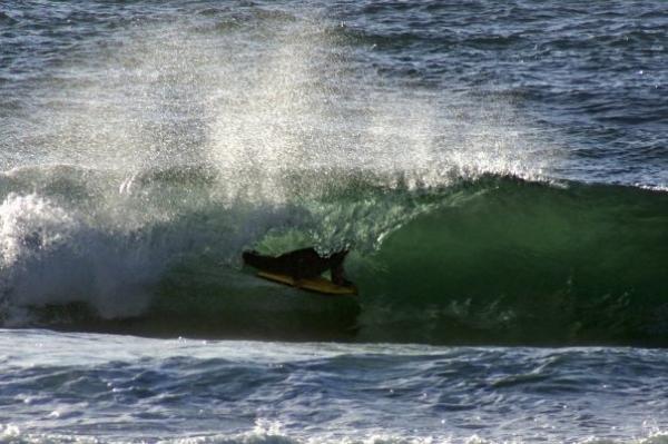 Darren Bonner at Kalk Bay