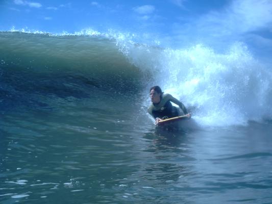 Troy Sibilant at Alkantstrand