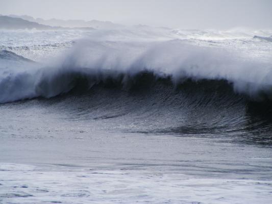 Yellow sands