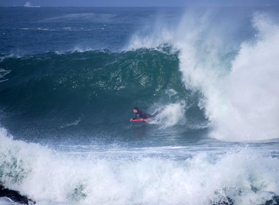 Robert Starke at West Coast Undisclosed