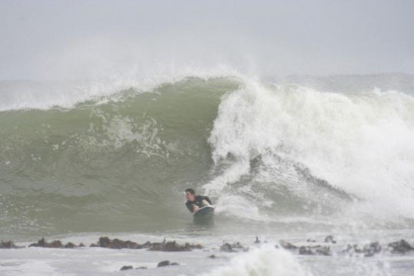 Ross Haywood at Oysters