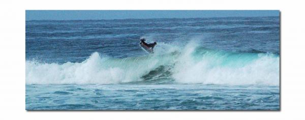 Jared Houston, reverse 360 air at Natures Valley