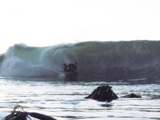 Peter Brandt at Kalk Bay