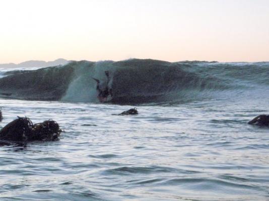 Peter Brandt at Kalk Bay