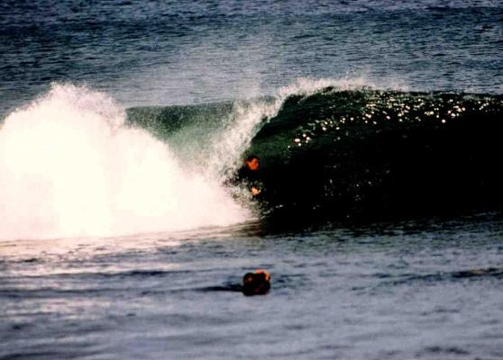 Vincent Forword at Kalk Bay