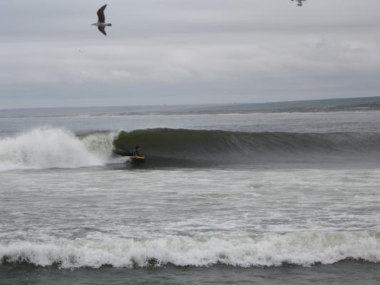 Loubser Steyn at Elands Bay Point