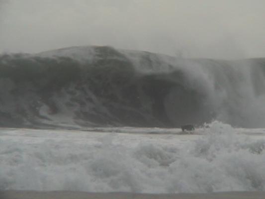 Donovan Bassett at Camps Bay Shorey