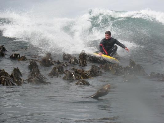 Arno Hattingh, dropknee forehand cutback at Betties Bay