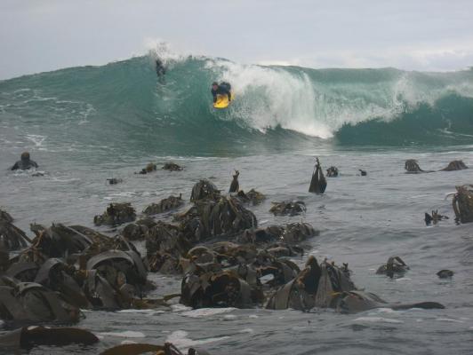 Arno Hattingh at Betties Bay