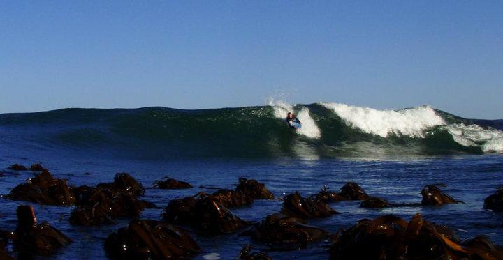 Jaco Koekemoer, trim at Kokkarot