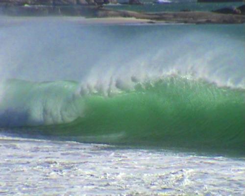 Camps Bay Shorey