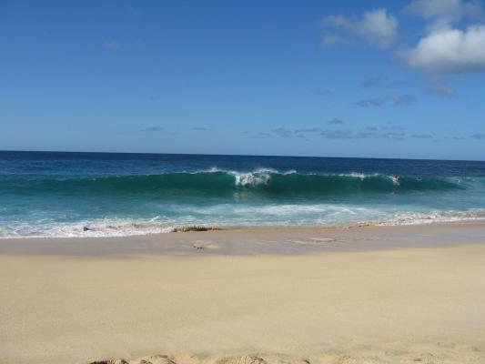 Ryan Donald at Keiki