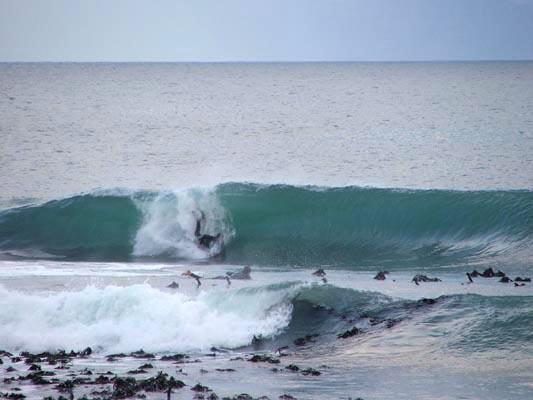 Peter Brandt at Kalk Bay