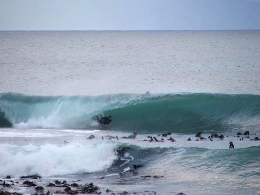 Peter Brandt at Kalk Bay