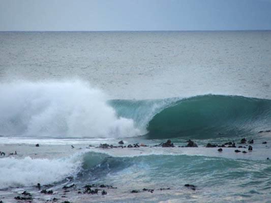 Peter Brandt at Kalk Bay