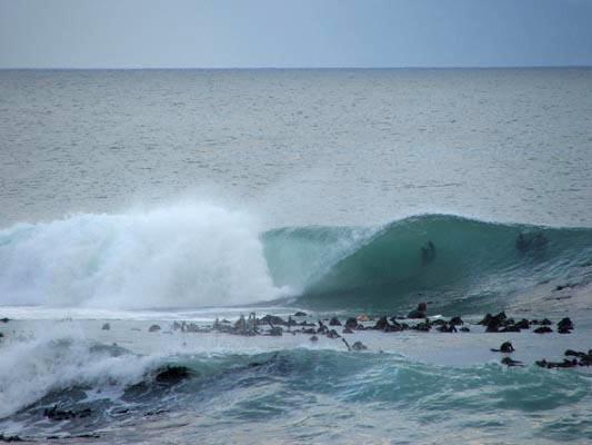 Peter Brandt at Kalk Bay