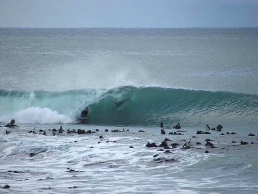 Peter Brandt at Kalk Bay