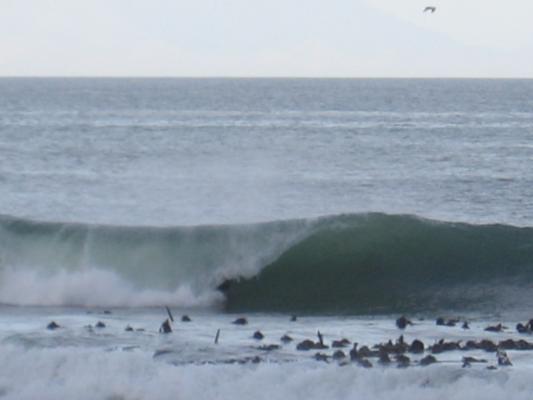 Joshua Chigome at Kalk Bay