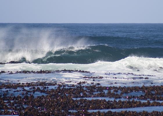 Vendetta Reef