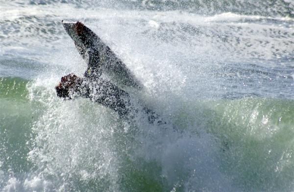 Christiaan Els at Camps Bay Shorey