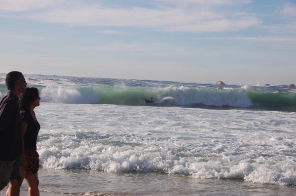 Camps Bay Shorey