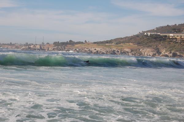 Patrick Acheson at Camps Bay Shorey