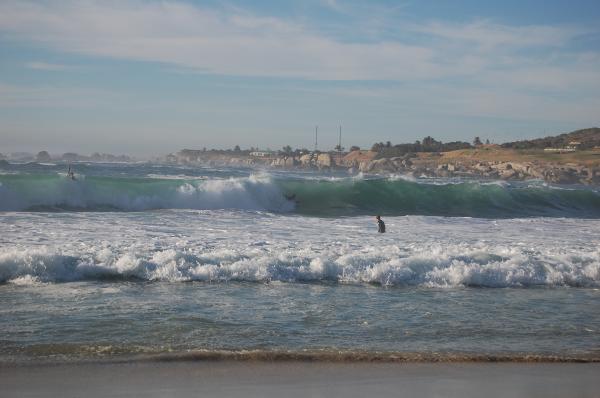 Camps Bay Shorey