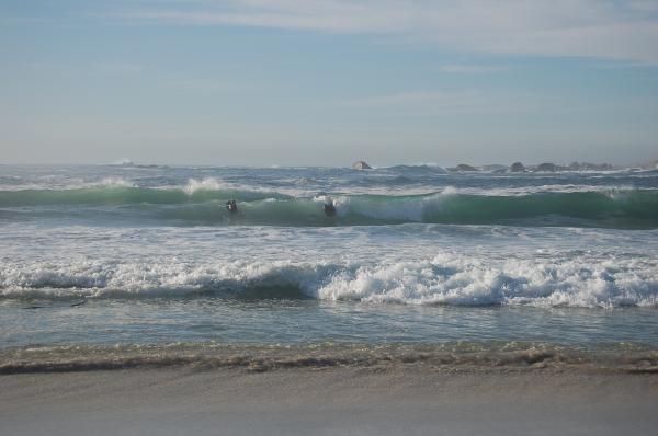 Patrick Acheson at Camps Bay Shorey