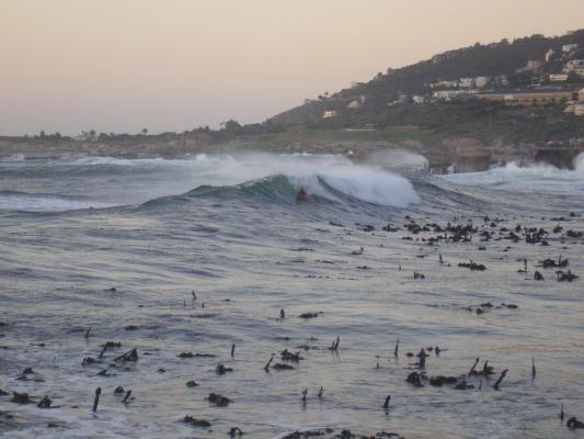 Richie Robbins at Bali Bay