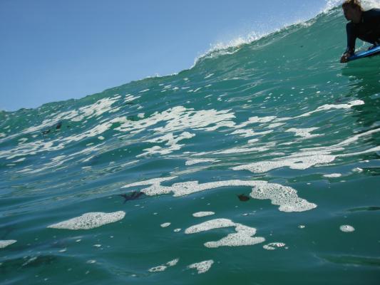 Danie Marais at Glen Beach