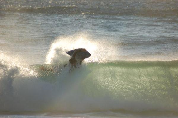 Christiaan Els at Camps Bay Shorey