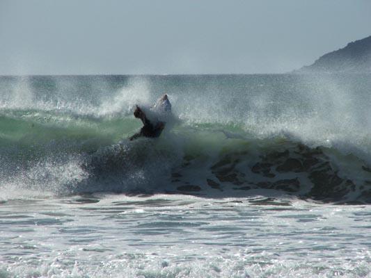 Jovan Bradley at Long Beach