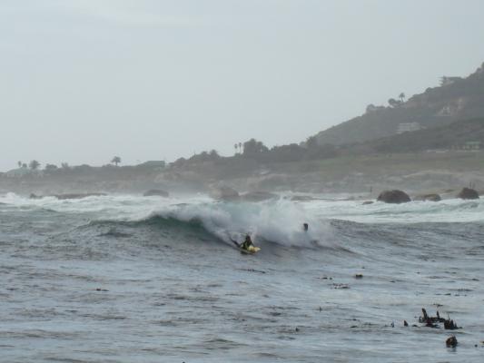 Roche de villiers at Bali Bay