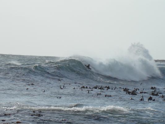 Tim van Wieringen at Bali Bay