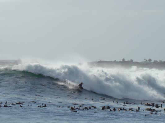 Tim van Wieringen at Bali Bay