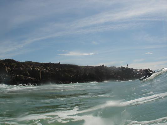 Max Kibble at Wedge