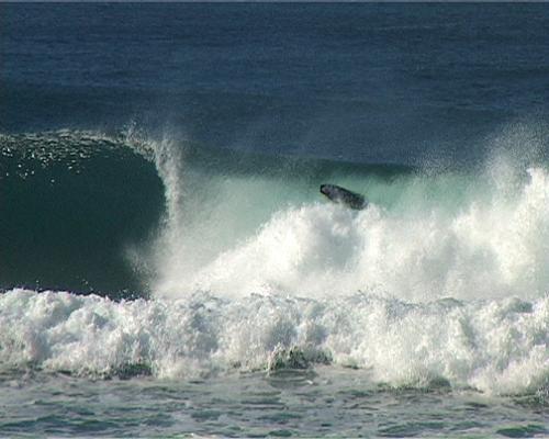 Sean Tickner at Cave Rock