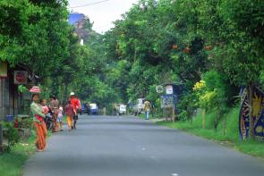Road to Ubud