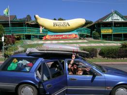 The big Banana........