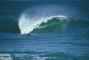 Unknown -