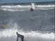 Terence Pieters :: Terence running and skimming! No jetski involved! Video coming soon!