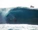 Andre Botha